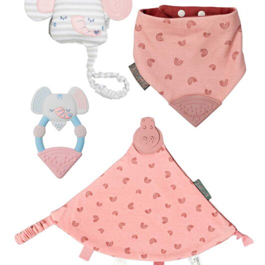 Cheeky Chompers Comfort & Chew Baby Teething Gift Set - Rainbow Rose